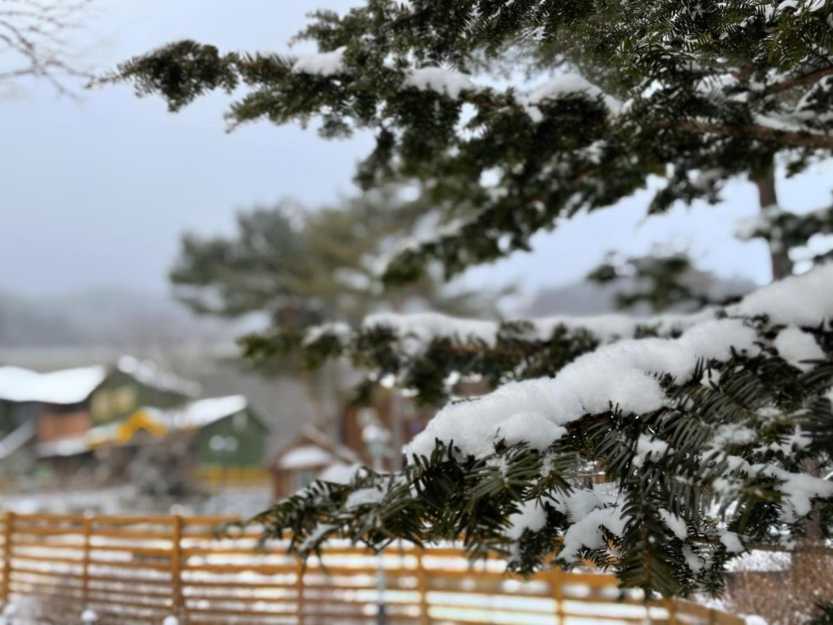 Honey Bear Pension Pyeongchang Exterior photo